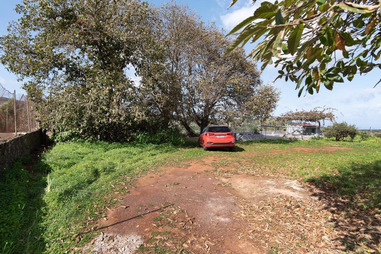 Ferienwohnung La Casita De Abuela Paula Valleseco Exterior foto